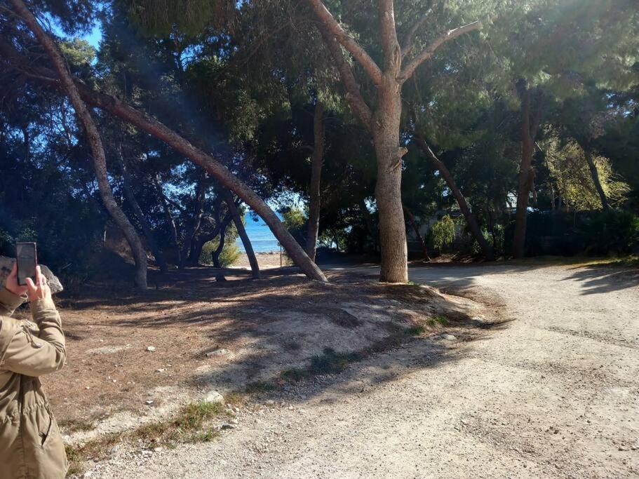 אל קאמפיו Acogedor Bungalow Adosado מראה חיצוני תמונה