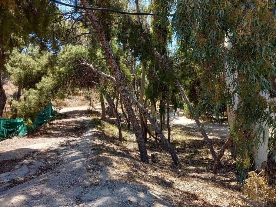 אל קאמפיו Acogedor Bungalow Adosado מראה חיצוני תמונה