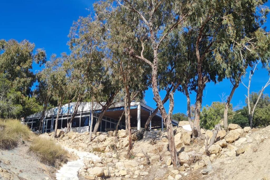 אל קאמפיו Acogedor Bungalow Adosado מראה חיצוני תמונה